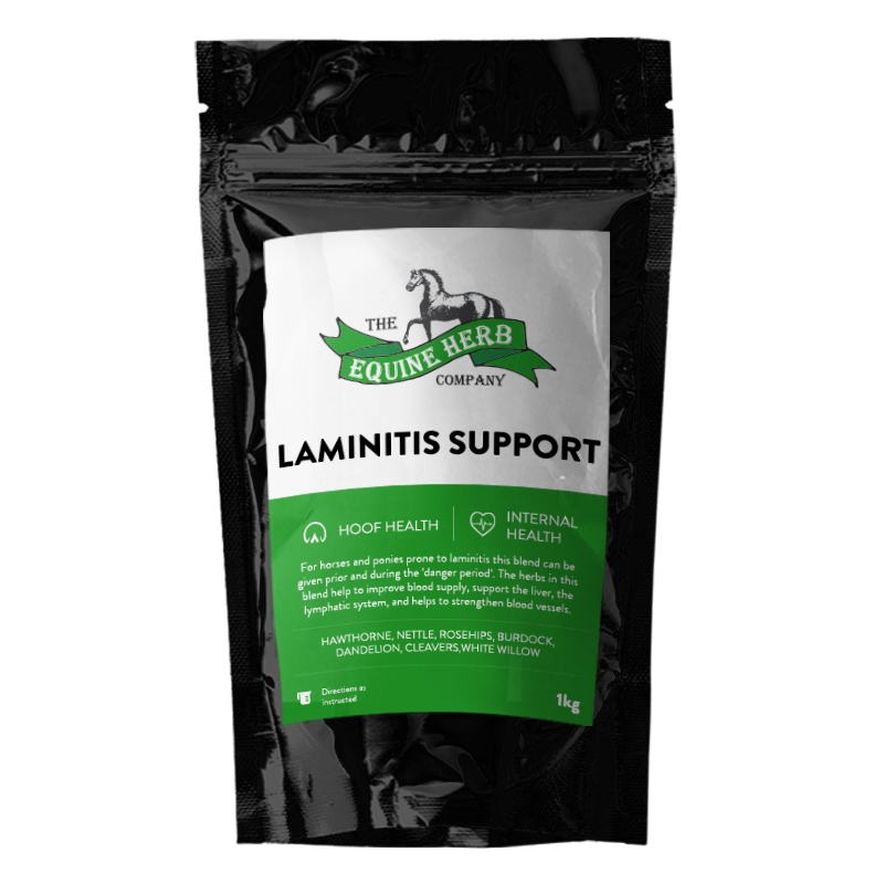 laminitis