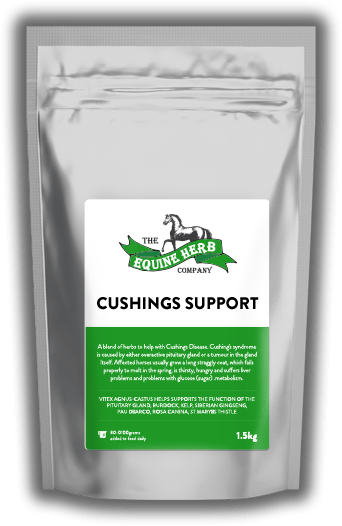 Cushings-Support