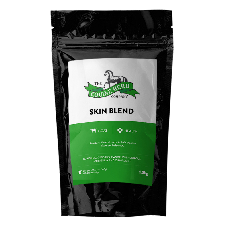 skinblend